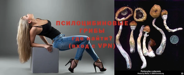 дурь Белокуриха