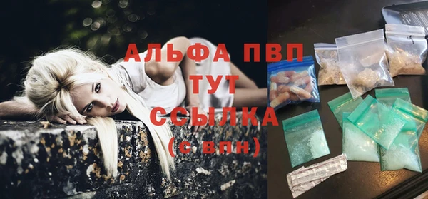стаф Няндома