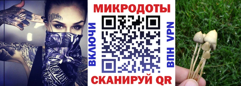 kraken tor Ленск Галлюциногенные грибы Magic Shrooms